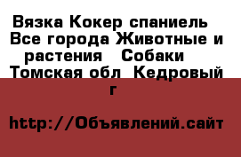 Вязка Кокер спаниель - Все города Животные и растения » Собаки   . Томская обл.,Кедровый г.